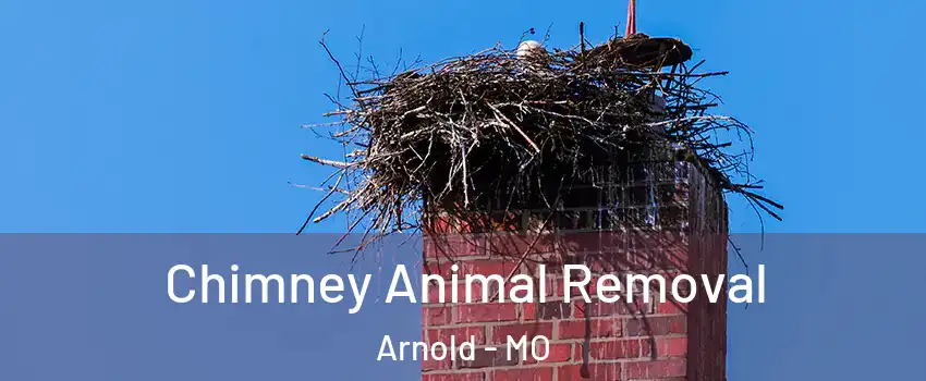 Chimney Animal Removal Arnold - MO