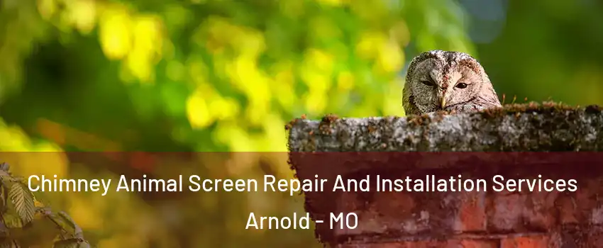  Chimney Animal Screen Repair And Installation Services Arnold - MO