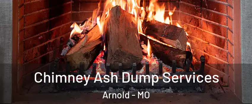  Chimney Ash Dump Services Arnold - MO