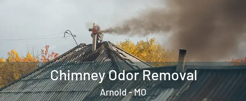 Chimney Odor Removal Arnold - MO