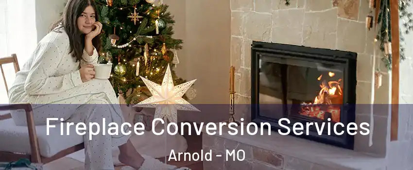  Fireplace Conversion Services Arnold - MO