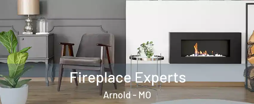  Fireplace Experts Arnold - MO