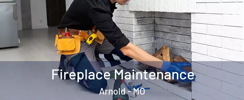  Fireplace Maintenance Arnold - MO