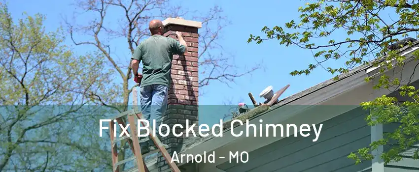  Fix Blocked Chimney Arnold - MO