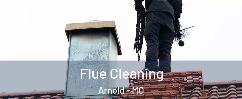  Flue Cleaning Arnold - MO