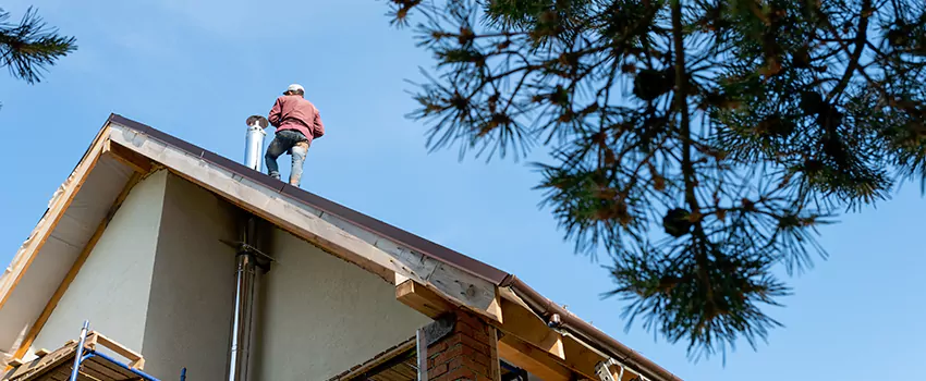 Birds Removal Contractors from Chimney in Arnold, MO