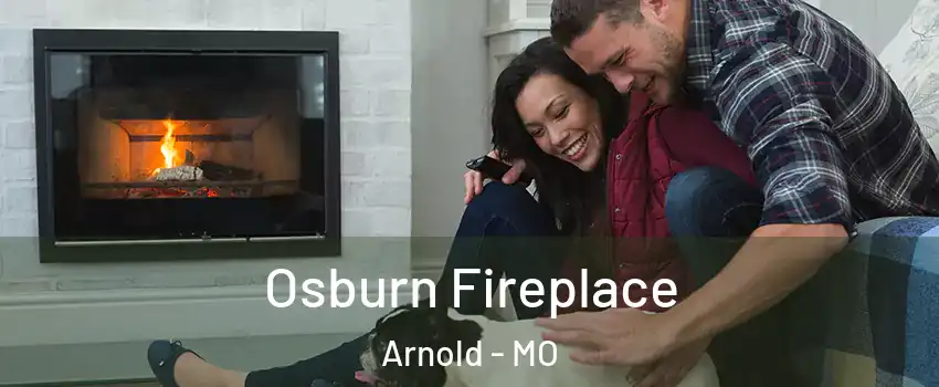  Osburn Fireplace Arnold - MO